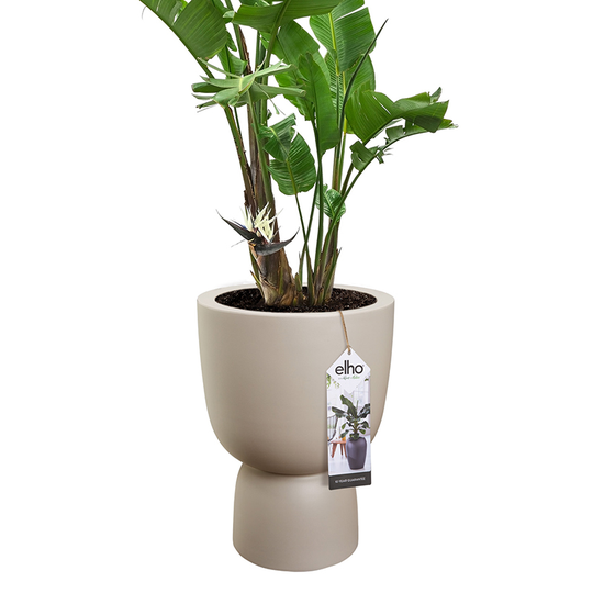 Kruka Pure Coupe 35 cm, beige