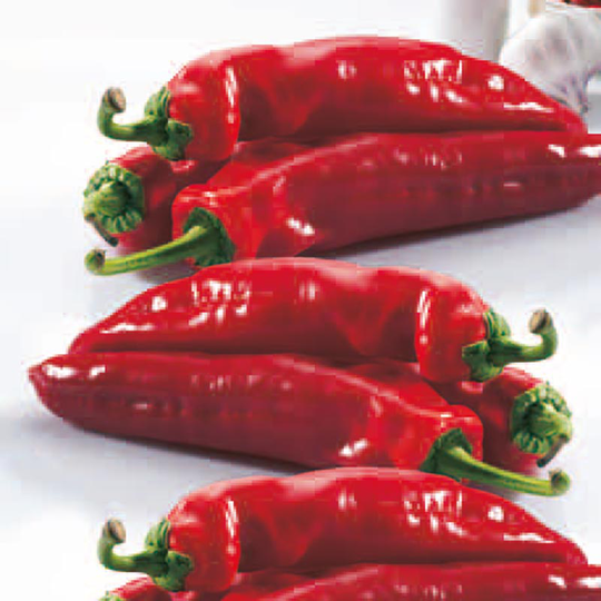 Chilipeppar 'Haruba' F1