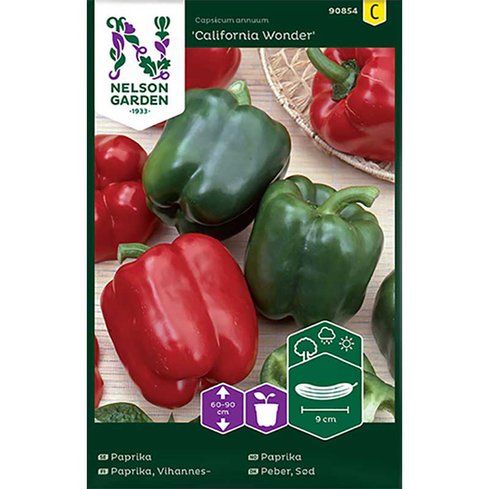 Paprika 'California Wonder'