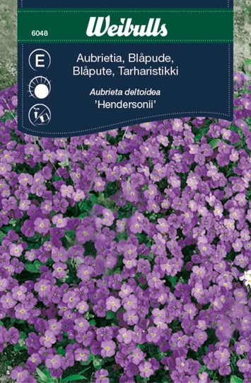 Weibulls Aubrietia