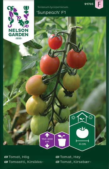 Nelson Garden Tomat Hög Sunpeach F1