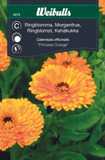 Weibulls Ringblomma Princess