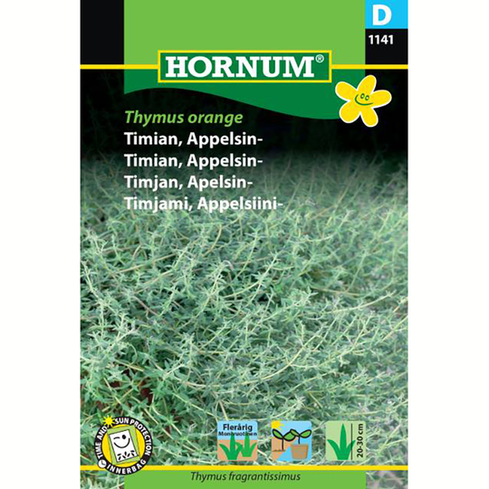 Apelsintimjan 'Thymus orange'