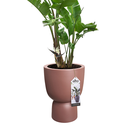 Kruka Pure Coupe 35 cm, rosabrun
