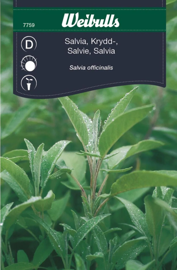 Weibulls Kryddsalvia