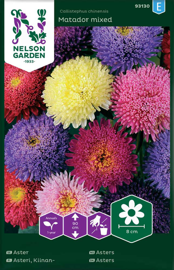 Nelson Garden Aster Matador Mix