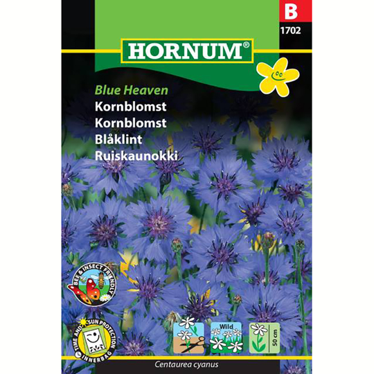 Blåklint 'Blue Heaven'