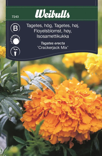 Weibulls Tagetes Hög