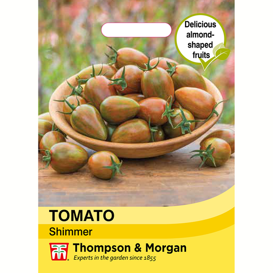 Tomat 'Shimmer'