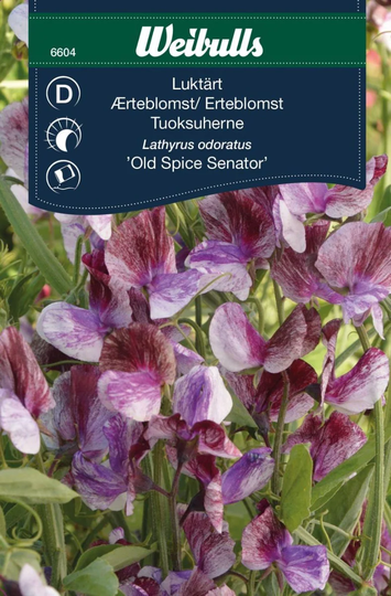 Weibulls Luktärt Senator