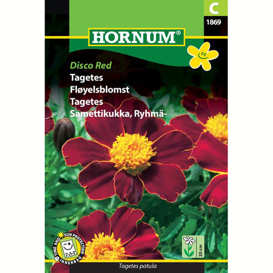 Tagetes 'Disco Red'