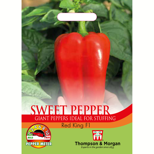 Paprika 'Red King' F1