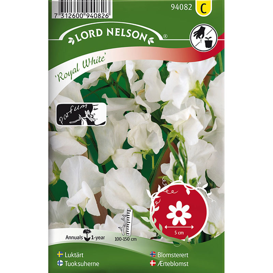 Luktärt 'Royal White'