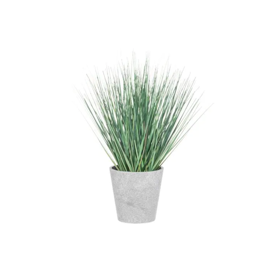 4Living Gräs i Kruka 40 cm