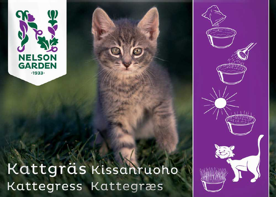 Nelson Garden Kattgräs HD