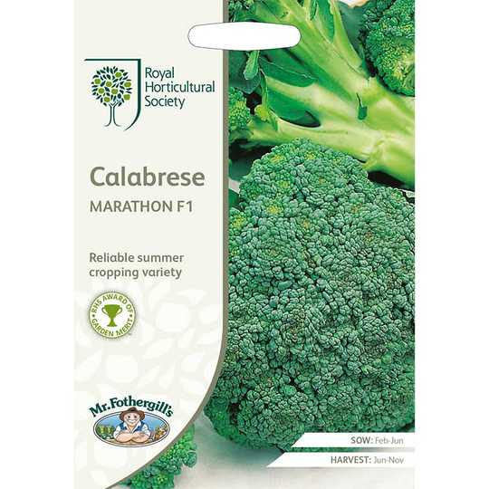 Broccoli 'Marathon' F1