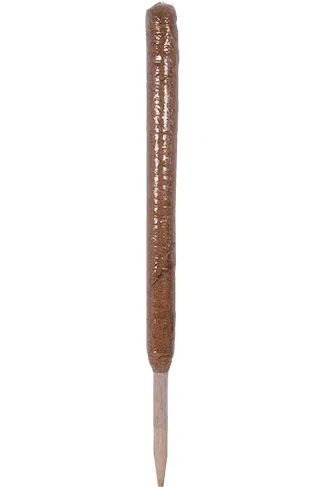 Nelson Garden Växtstöd Trä/Kokos H: 70 cm