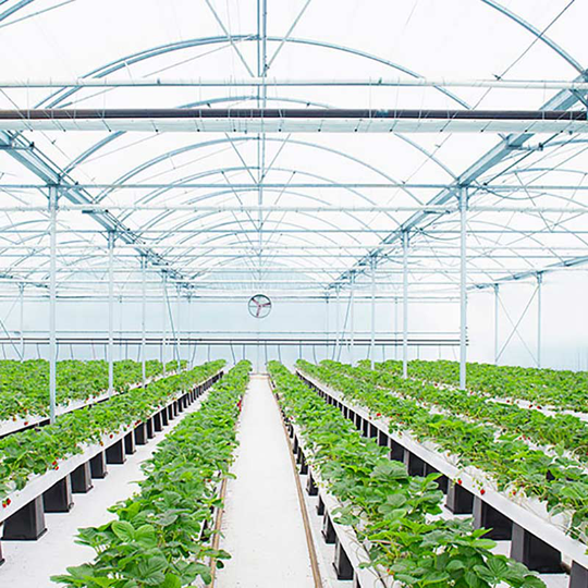 Växtlampa G2 - LED growlight