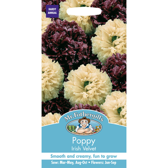 Vallmo 'Irish Velvet'