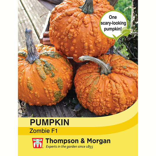 Pumpa 'Zombie' F1