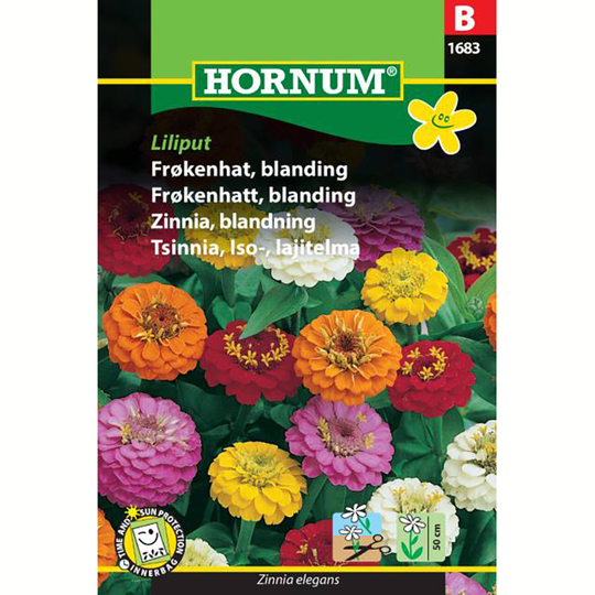 Zinnia 'Liliput'