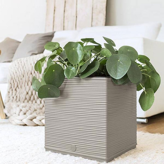 Självvattnande kruka Casa Cosy Cube, silkesgrå