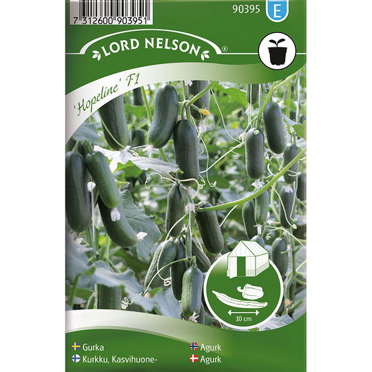 Ampelgurka 'Hopeline' F1