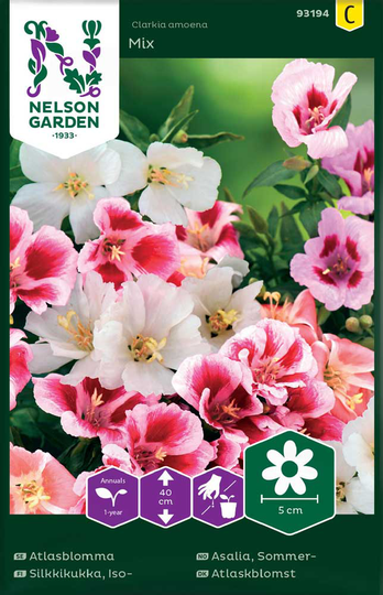 Nelson Garden Atlasblomma Mix