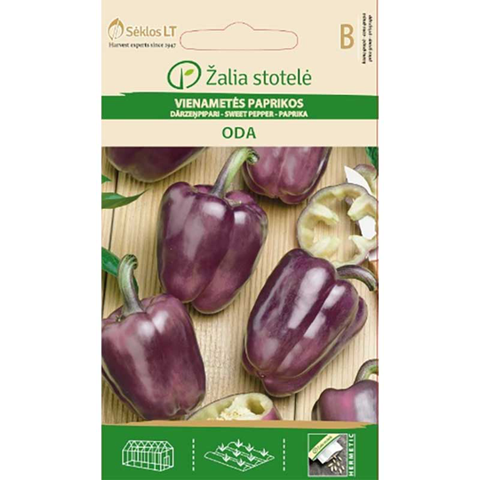 Paprika 'Oda'