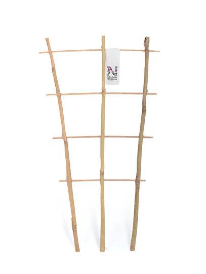 Nelson Garden Krukspaljé bambu 45cm