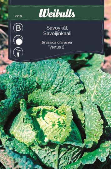 Weibulls Savoykål Vertus