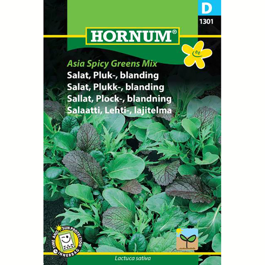 Sallat 'Asia Spicy Greens' Mix