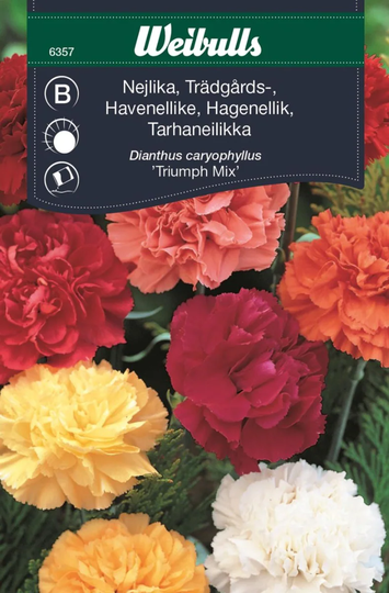 Weibulls Trädgårdsnejlika Mix