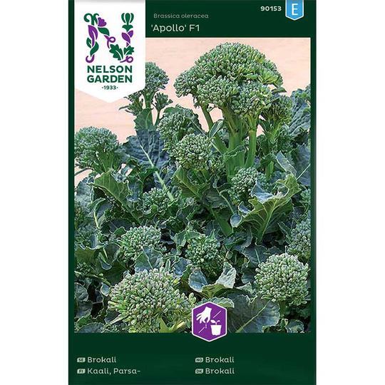 Broccoli 'Apollo' F1