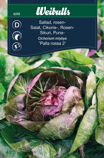 Weibulls Radiccio Palla Rossa 2