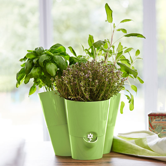 Fresh Herbs 3-i-1 örtkruka 27x25 cm, grön