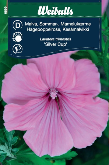 Weibulls Malva Silver Cup Sommar