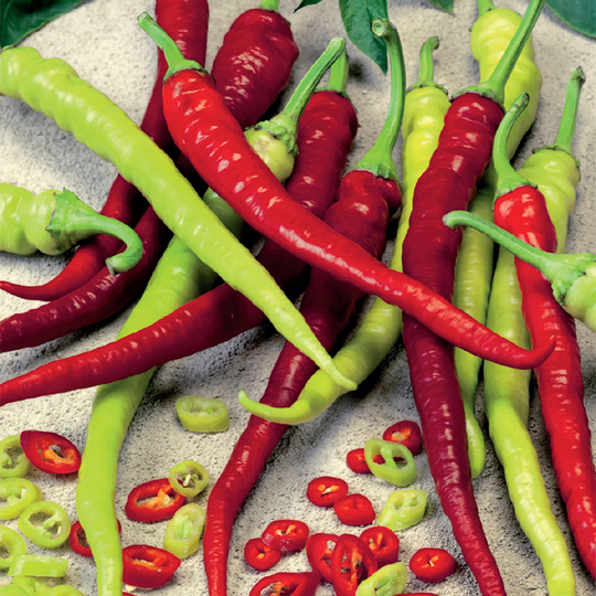 Paprika 'Spiralus'