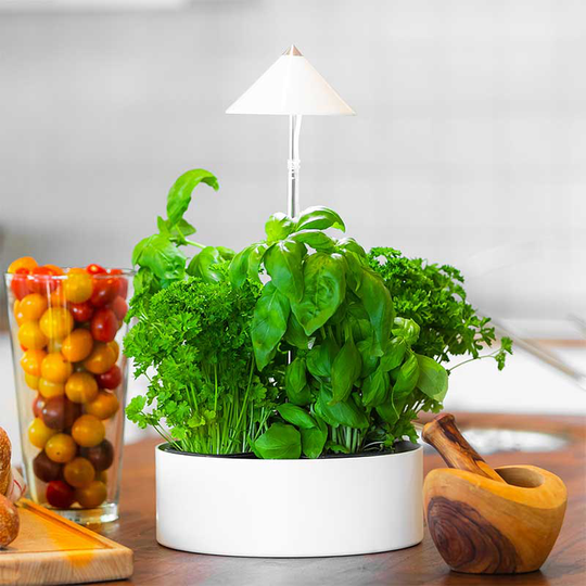 SunLite miniHerb 10W, S