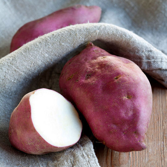 Sötpotatis 'Erato Gusto', ekologisk 3-pack