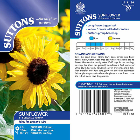 Solros 'Suntastic Yellow' F1