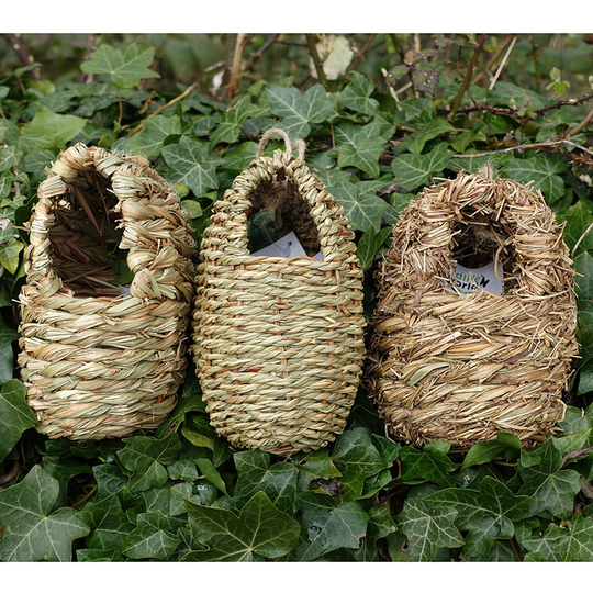 Ovalt fågelbo, Nest pocket