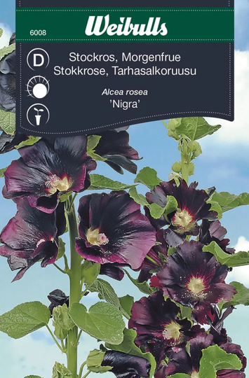 Weibulls Stockros Nigra Enkel