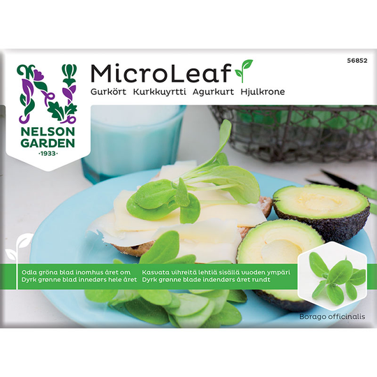 Micro leaf, Gurkört