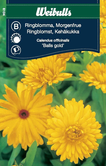 Weibulls Ringblomma Balls Gold