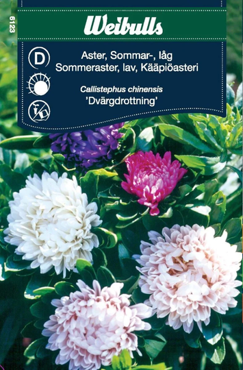 Weibulls Aster Låg Sommar