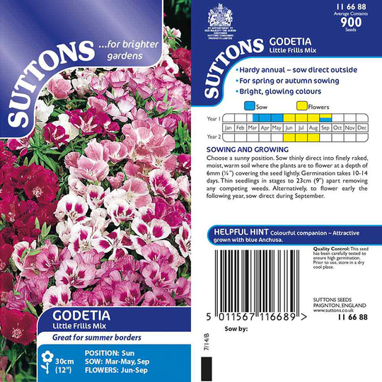 Atlasblomma 'Little Frills Mix'