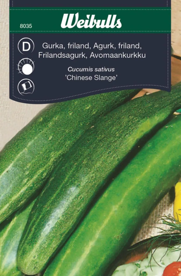 Weibulls Gurka Chinese Slange