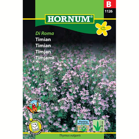 Timjan 'Di Roma'