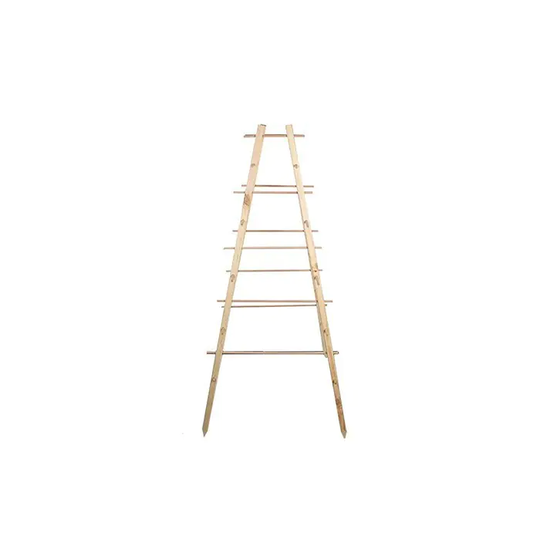 GardenLife Växtstöd Pyramid Trä